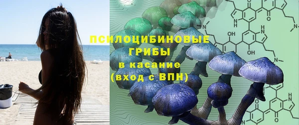 соль ск Алексеевка