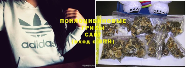 соль ск Алексеевка