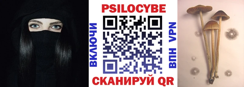 Псилоцибиновые грибы мицелий  Динская 